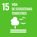 15. La vida en la tierra